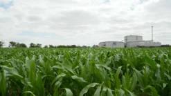 PlantGrow All Purpose Peat Free Compost - 900L Bulk Bag 10 PlantGrow All Purpose Peat Free Compost - 900L Bulk Bag -PlantMates Shop 2093270281 jpg