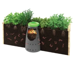 Tumbleweed Worm Buffet -PlantMates Shop 3326598276 jpg