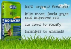 Front Page -PlantMates Shop 81ddp9unxxl. sl1500 1 jpg