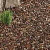 Kelkay Caledonian Pebbles Premium Decorative Aggregate, Bulk Bag 1 Kelkay Caledonian Pebbles Premium Decorative Aggregate, Bulk Bag -PlantMates Shop caledonian w jpg