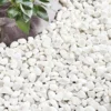 Kelkay Coral White Pebbles Decorative Aggregate, Bulk Bag 2 Kelkay Coral White Pebbles Decorative Aggregate, Bulk Bag -PlantMates Shop coral white d jpg