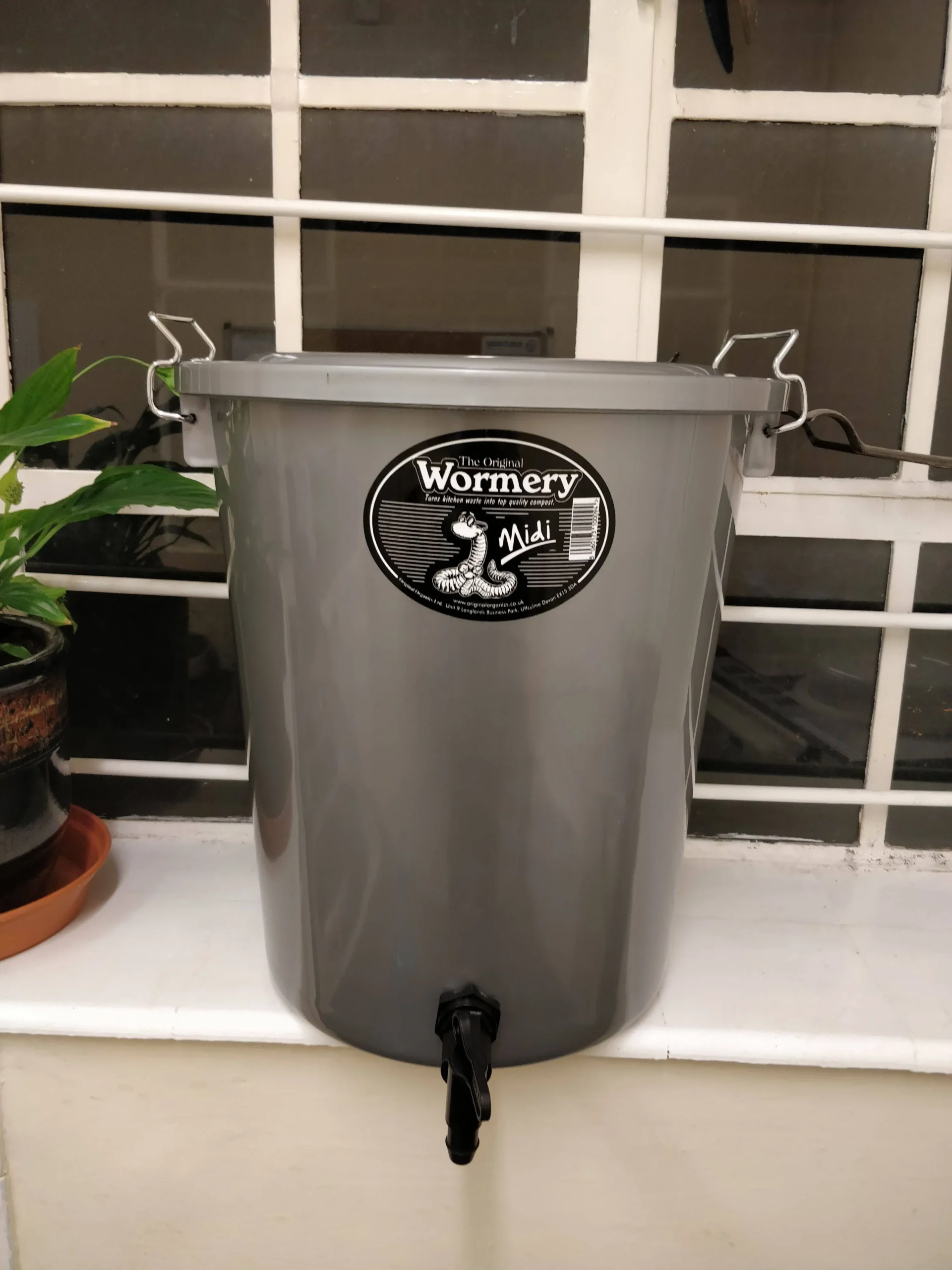 The Midi Wormery 5 The Midi Wormery - Image 3