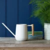 Modern Indoor Watering Can - Stone