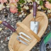 RHS Passiflora Trowel And Fork Gift Set 2 RHS Passiflora Trowel And Fork Gift Set -PlantMates Shop grh tfboxpass burgon and ball rhs gifts for gardeners passiflora gift boxed trowel and fork 03 bec501e7 c99e 4531 9615 ebfc7869dd4a jpg