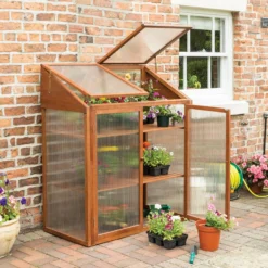 Rowlinson Hardwood Mini Greenhouse 8 Rowlinson Hardwood Mini Greenhouse -PlantMates Shop hwgrowst2 hwoodghouse 01 jpg