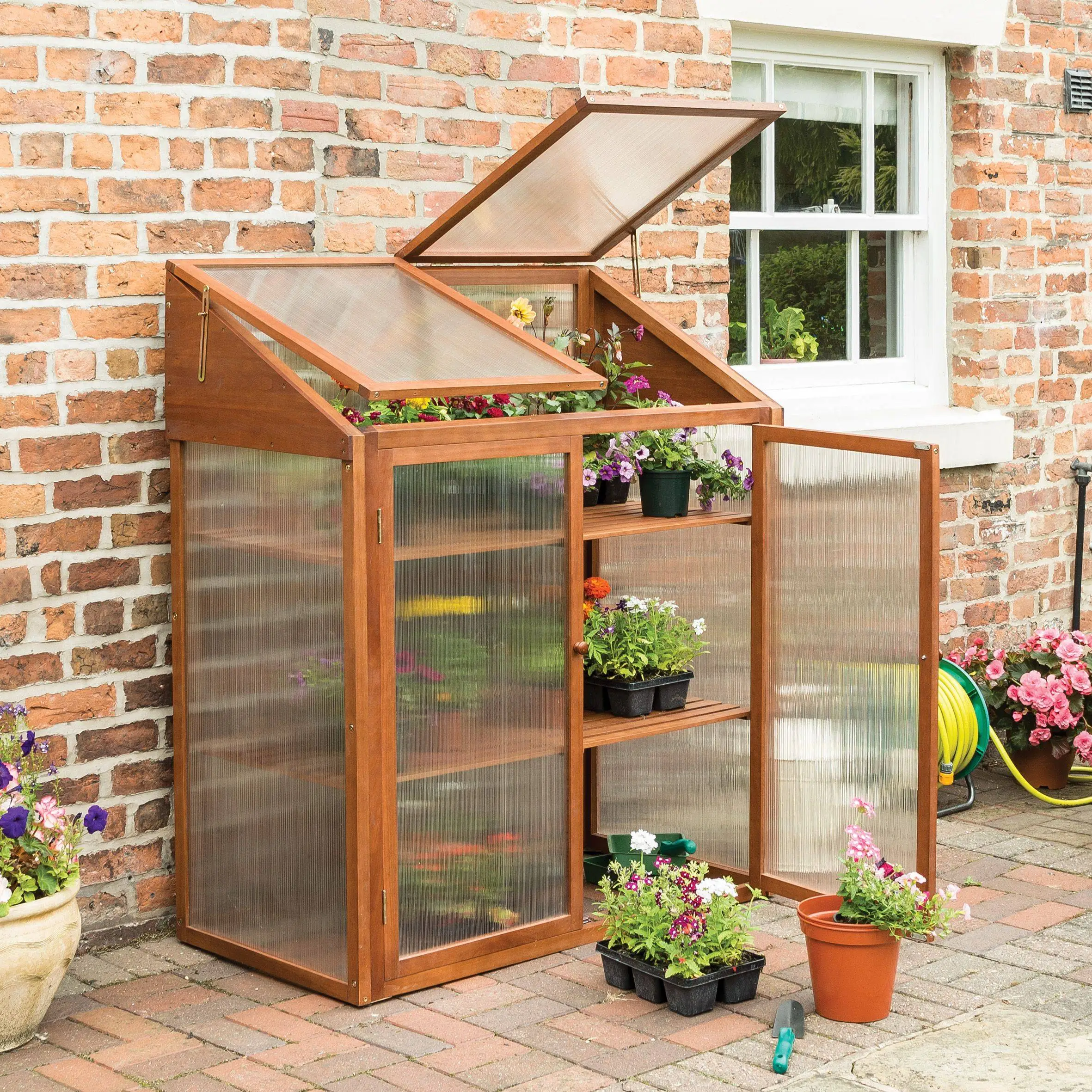 Rowlinson Hardwood Mini Greenhouse 4 Rowlinson Hardwood Mini Greenhouse - Image 3