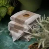 Pack Of 30 Coir Grow Cubes 10 X 10cm -PlantMates Shop img 40351 scaled e1696924752632 1 jpg