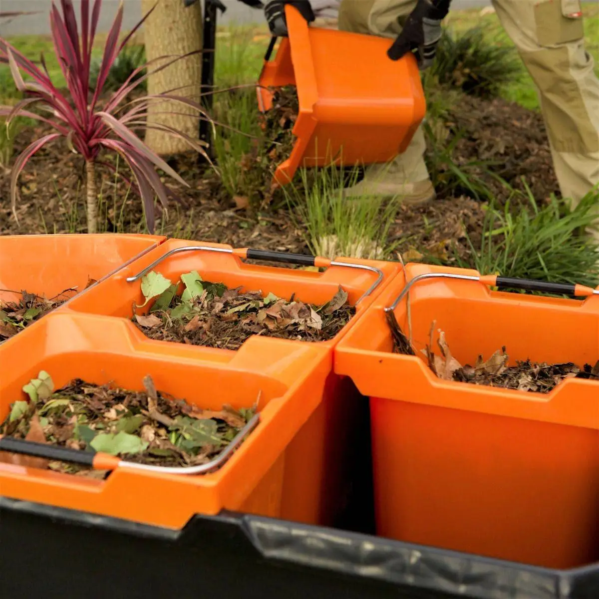 Front Page 16 Front Page -PlantMates Shop mg 3965crop jpg