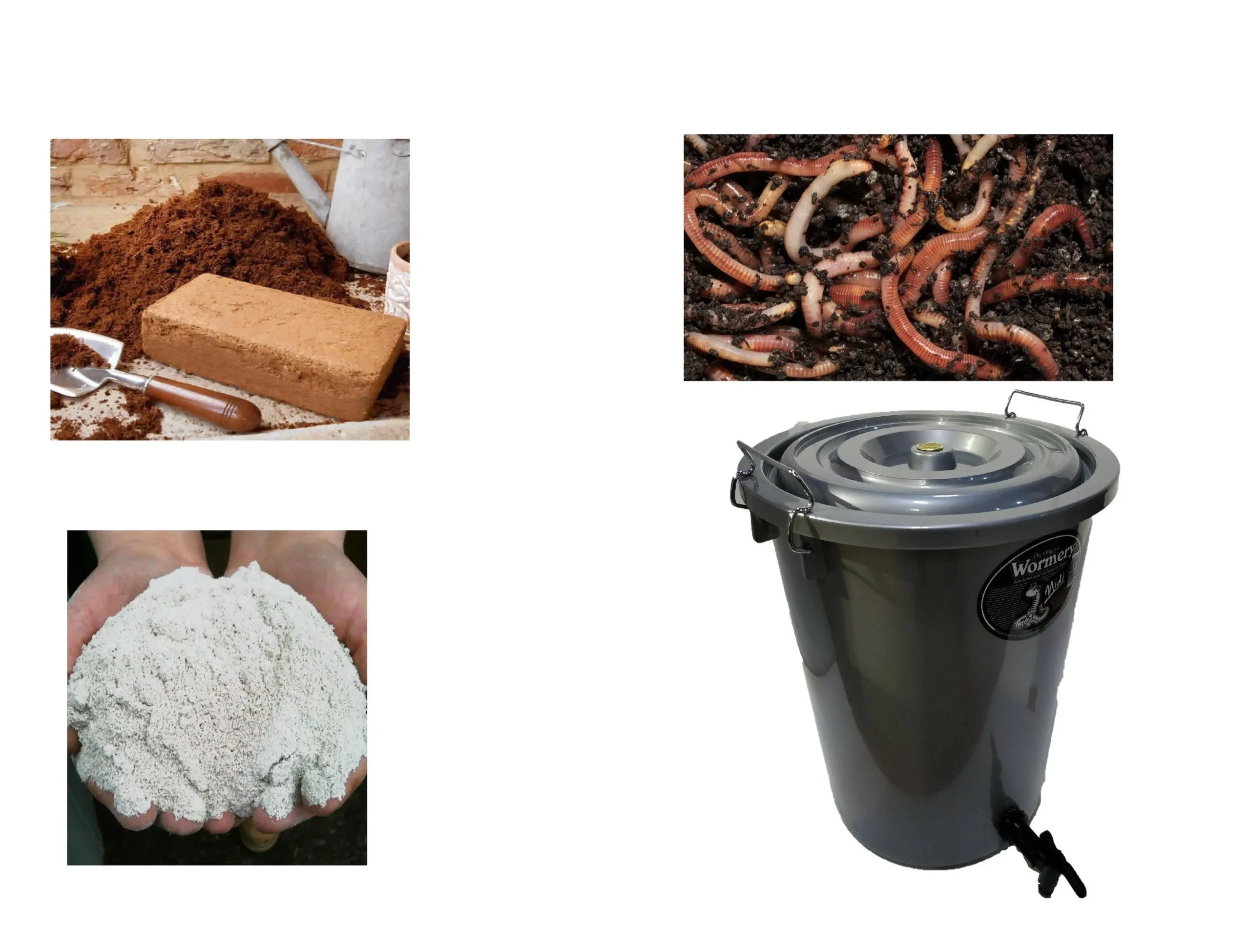 The Midi Wormery 7 The Midi Wormery - Image 5