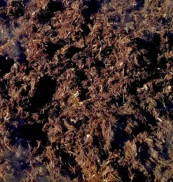 PlantGrow Soil Conditioning Natural Fertiliser - 900L Bulk Bag