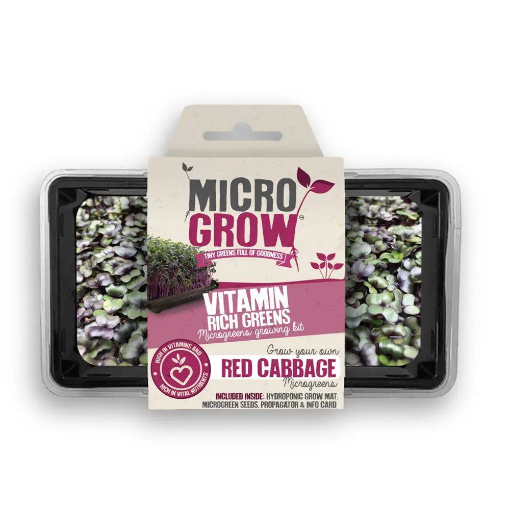 Micro-Grow Kit - Red Cabbage 3 Micro-Grow Kit - Red Cabbage