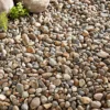 Kelkay River Washed Pebbles Decorative Aggregate, Bulk Bag -PlantMates Shop river washed d png