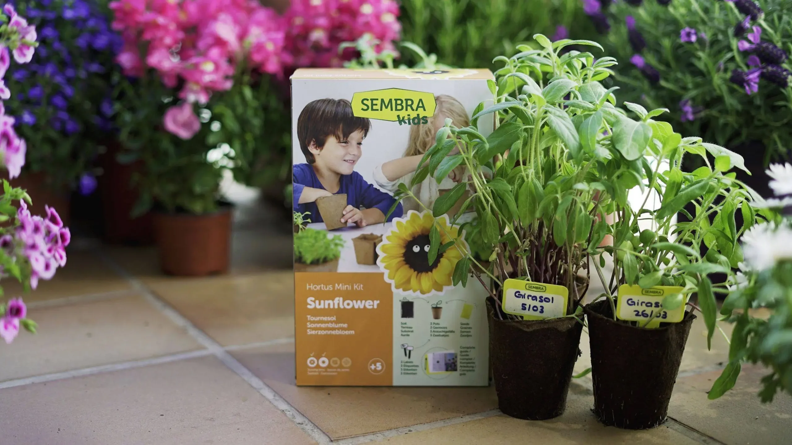 Sembra Kids Sunflower Garden Growing Kit 7 Sembra Kids Sunflower Garden Growing Kit - Image 5