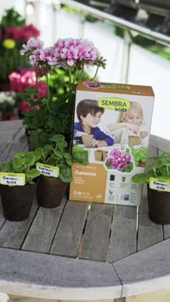 Sembra Kids Geraniums Gardening Kit For Children -PlantMates Shop sembra kids geranium pack with plants jpg