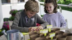 Sembra Kids Herbs Garden Growing Play Kit -PlantMates Shop sembra kids herbs labelling 1 jpg