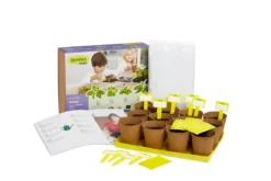 Sembra Kids Herbs Garden Growing Play Kit -PlantMates Shop traditional garden games sembra big herbs kit open web 1 png