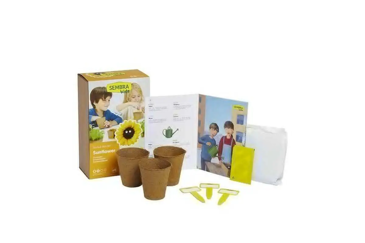Sembra Kids Sunflower Garden Growing Kit 4 Sembra Kids Sunflower Garden Growing Kit - Image 2