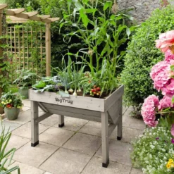 VegTrug Small - Grey Wash (FSC 100%)