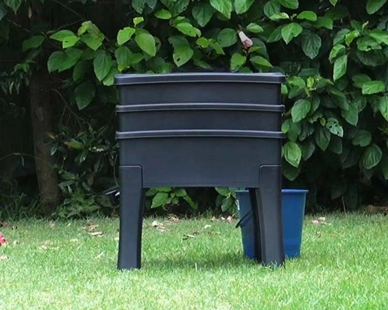 Tumbleweed Worm Cafe - 3 Tier 6 Tumbleweed Worm Cafe - 3 Tier - Image 4