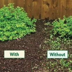 Living Green Pack Of 3 X 40L Worm Compost 100% Organic Vermicompost Bag -PlantMates Shop worm castings comparison 1 1 1 jpg