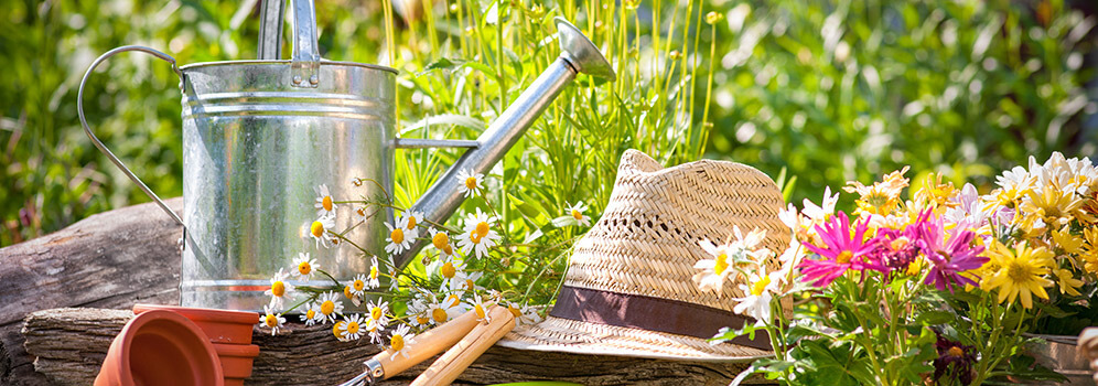 Front Page -PlantMates Shop banner747